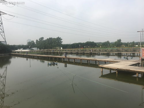 優魚科技 科技助力水產養殖，引領傳統養殖模式轉型升級