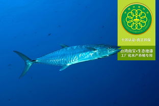 工廠化水產(chǎn)養(yǎng)殖專(zhuān)用漆的生態(tài)簡(jiǎn)介