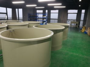 科創(chuàng)組團(tuán)工業(yè)化淡水水產(chǎn)養(yǎng)殖研發(fā)中心矚目而成，引領(lǐng)水產(chǎn)養(yǎng)殖新篇章