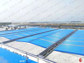 對(duì)蝦大王國(guó)聯(lián)水產(chǎn)財(cái)務(wù)疑團(tuán) 風(fēng)云獨(dú)立審計(jì)下的水產(chǎn)養(yǎng)殖業(yè)警示