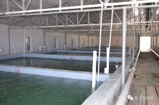 東方龍商務(wù)高端水產(chǎn)養(yǎng)殖全國(guó)布局項(xiàng)目政府對(duì)接會(huì)即將召開(kāi)，共繪產(chǎn)業(yè)發(fā)展新藍(lán)圖