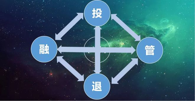 林寶泰 以“資產(chǎn)管理”為核心，打通融投管退全流程